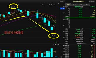 慧球科技600556大跌停牌真實(shí)原因及復(fù)盤(pán)后走勢(shì)分析